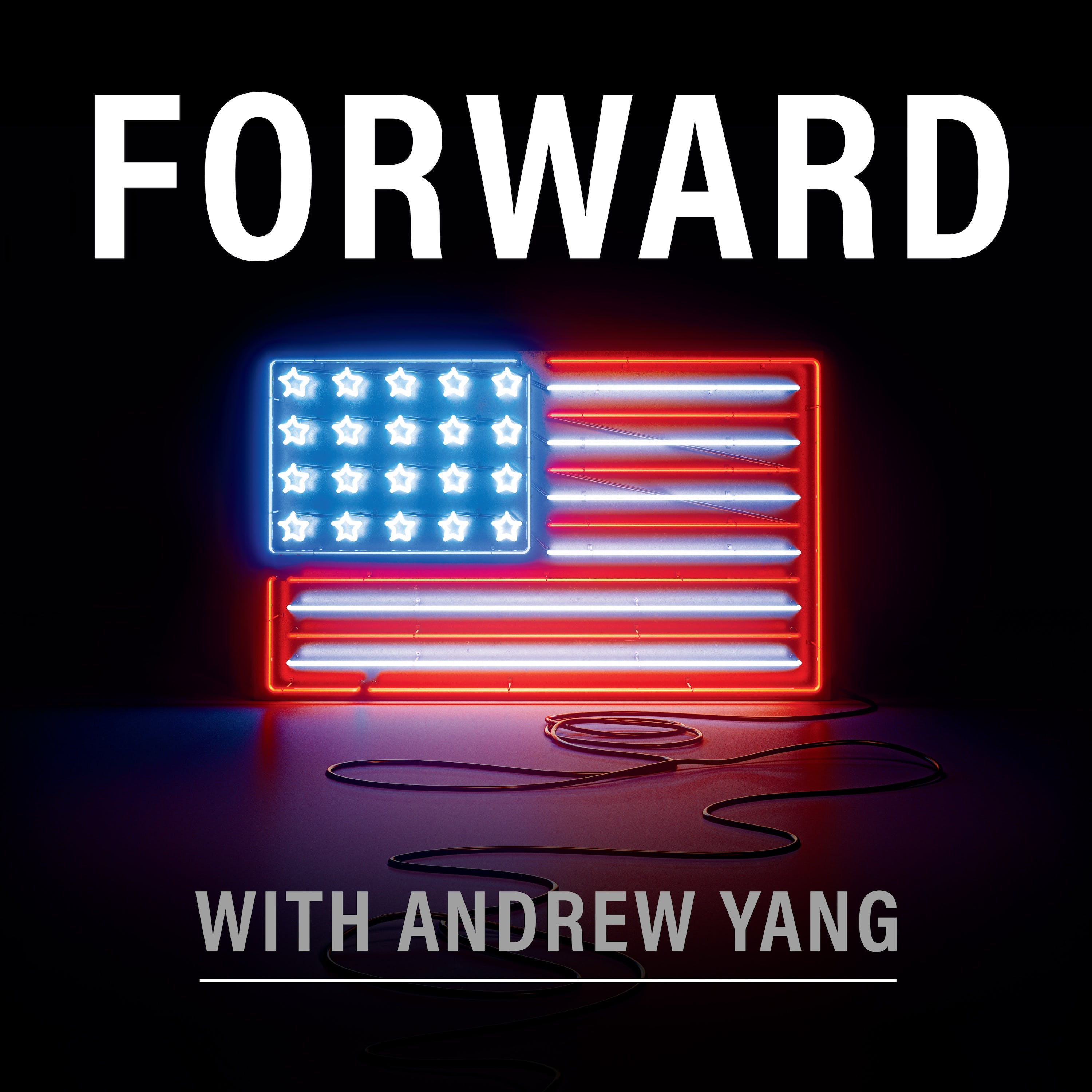 Andrew Yang Thinks Open Primaries Could Facilitate Gun Control Legislation